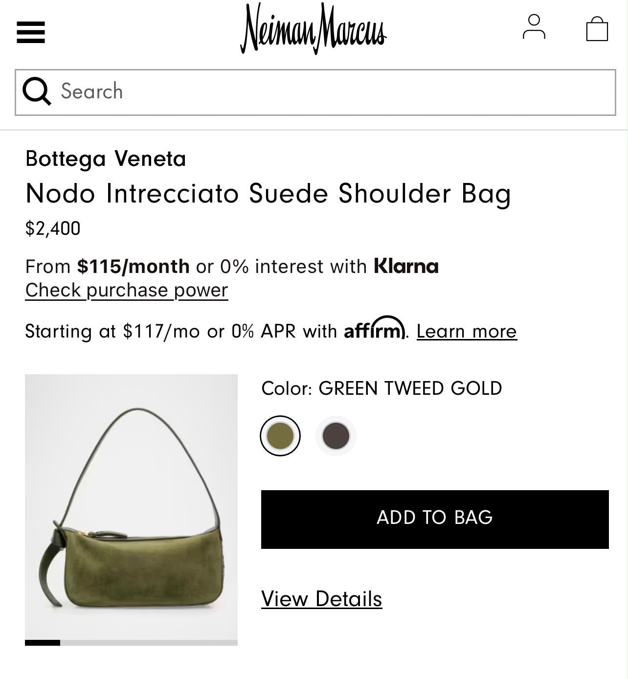 Bottega veneta bag